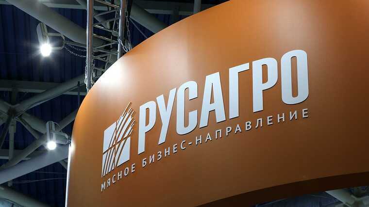 Гендиректор «Русагро» Тимур Липатов попал под арест по делу о хищениях