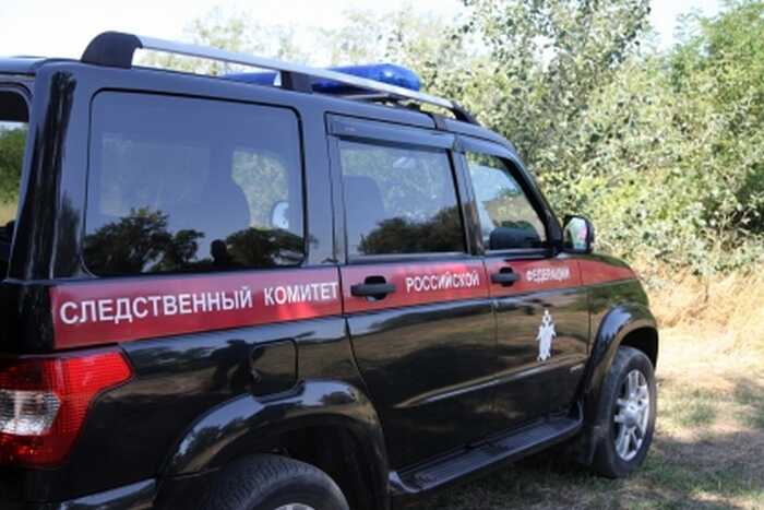 Суд в Ростове рассмотрит дело Марианны Майкоглуян, обвиняемой в передаче взятки
